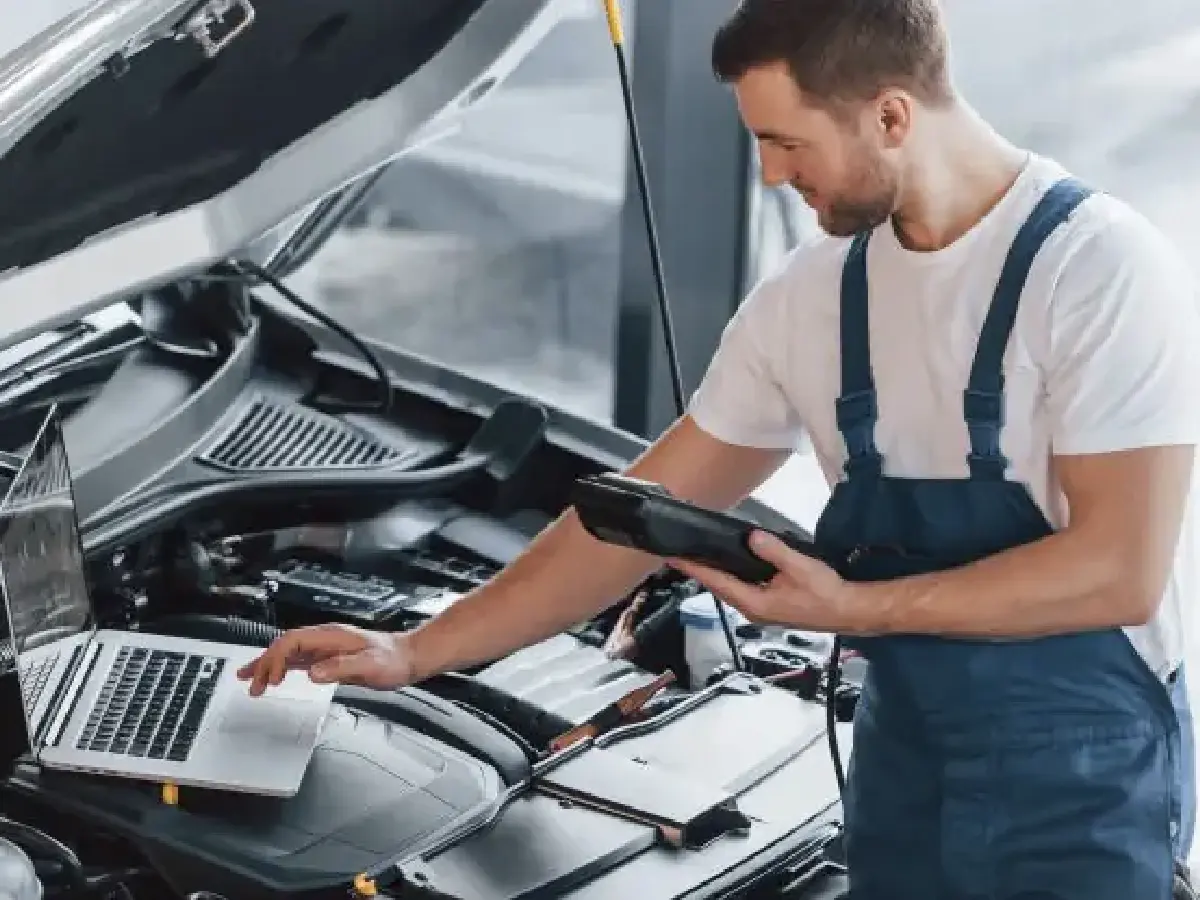 professional PDI services