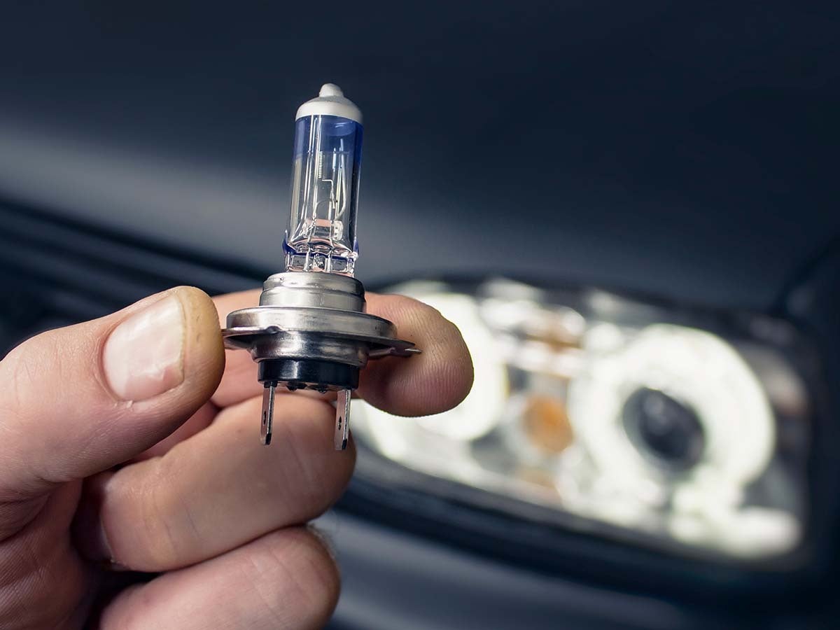 projector vs halogen headlamps