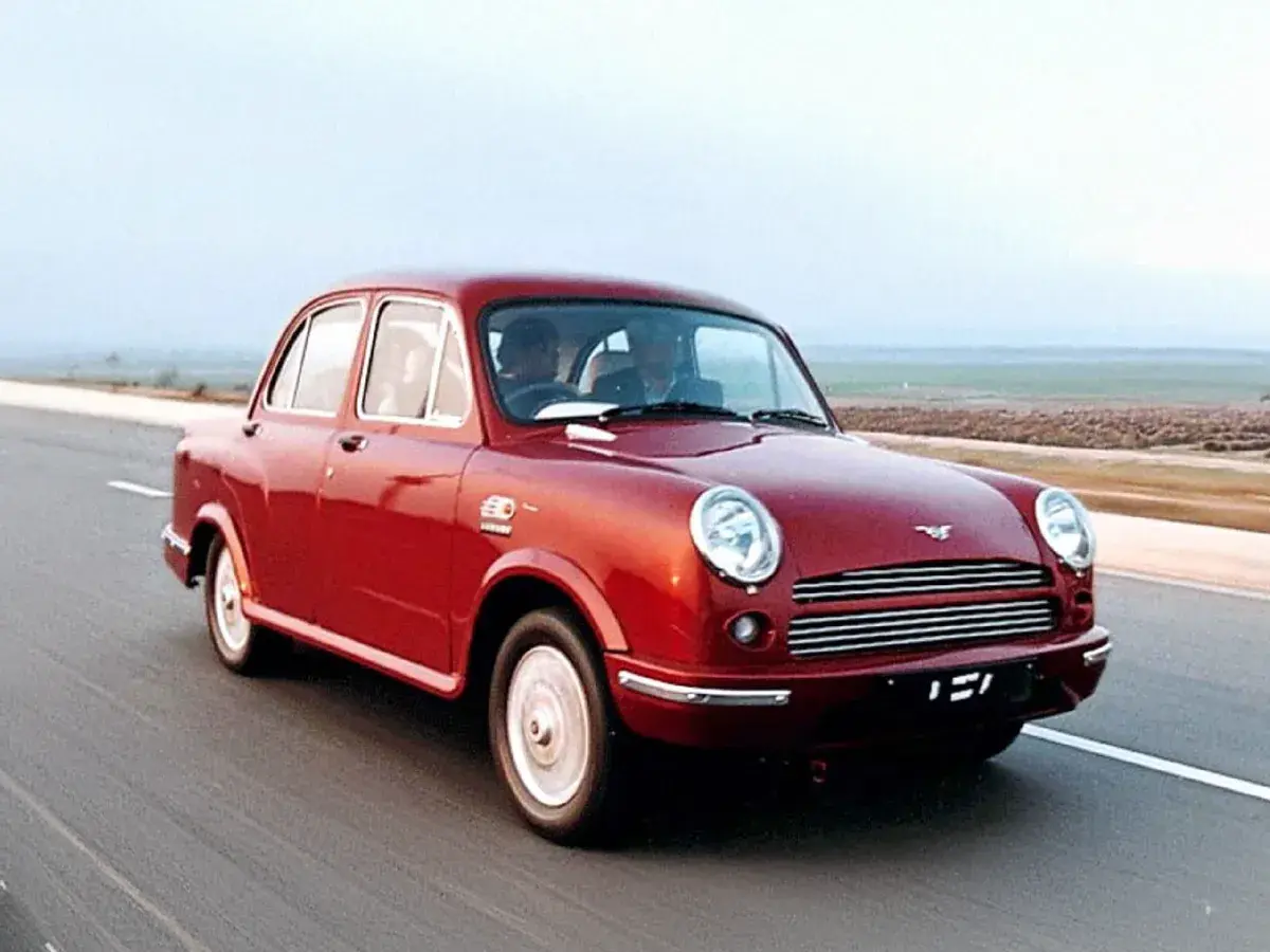 Ambassador Avigo.webp