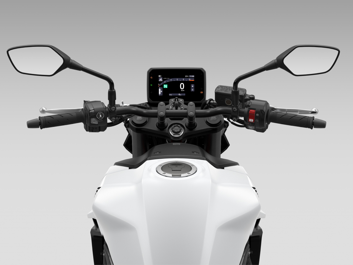 Hornet 750 Rider View