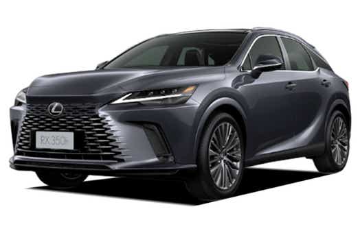 Lexus RX Left Diagonal View