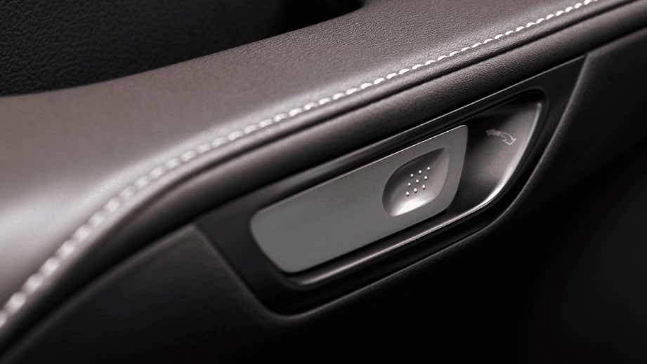 interior door handle close-up of a Lexus RX