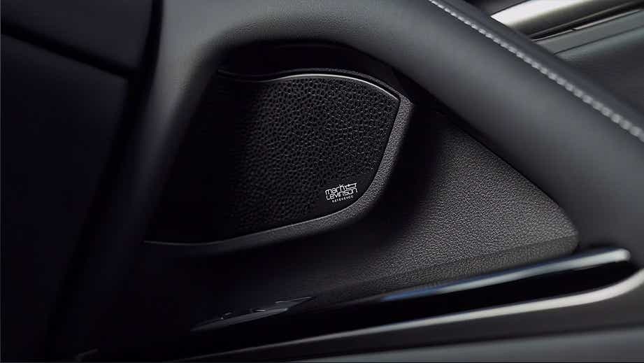 Close-up of audio speaker in a Lexus LX interior
