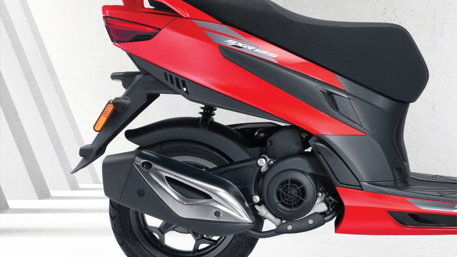 Right Side Back View