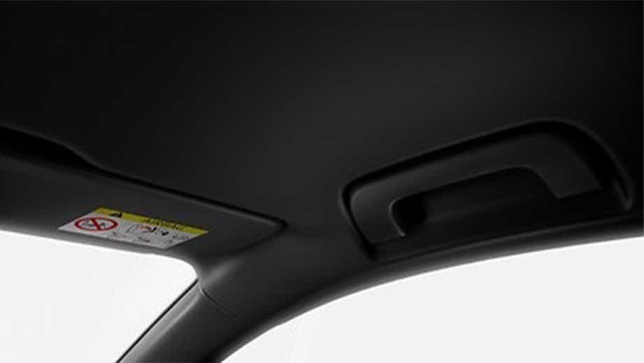 headliner and grab handle of a Naldo Grey Audi RS5