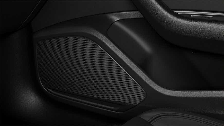 door speaker close-up of an Audi A4