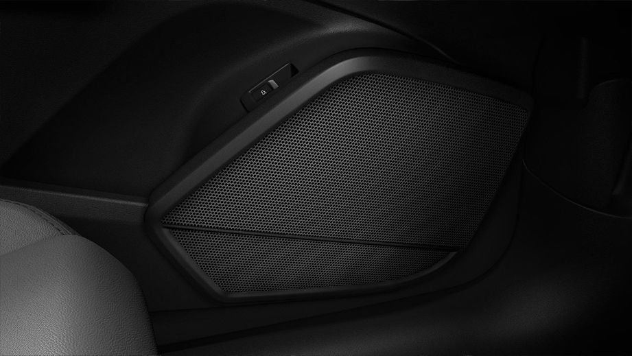 interior door speaker close-up of an Audi A6