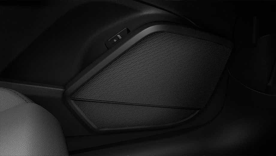 interior door speaker close-up of an Audi A6