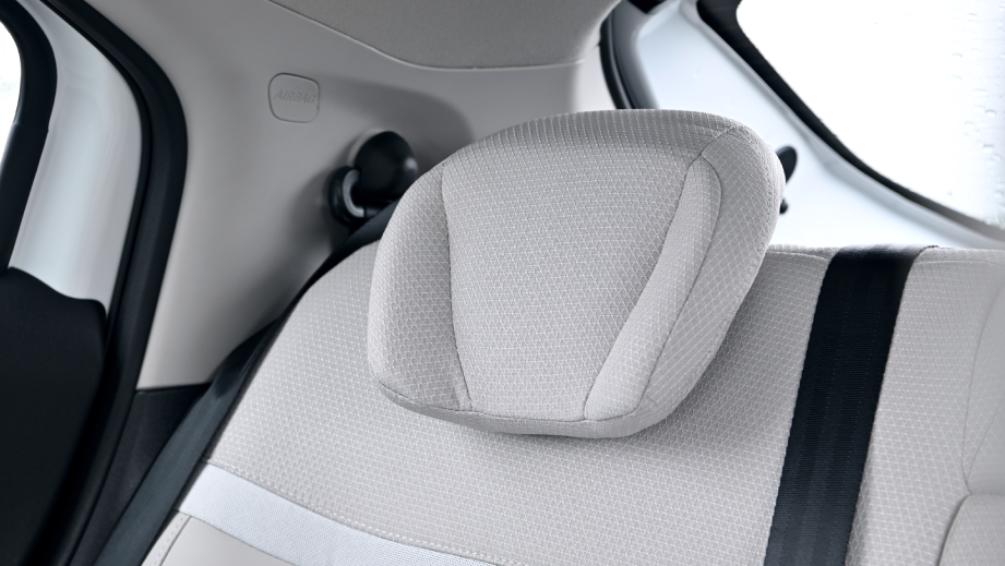 rear seat headrest close-up of a Citroen Basalt