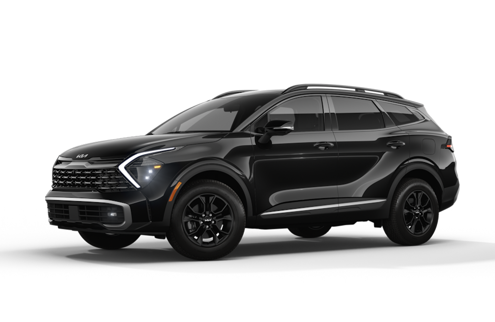 Sportage image