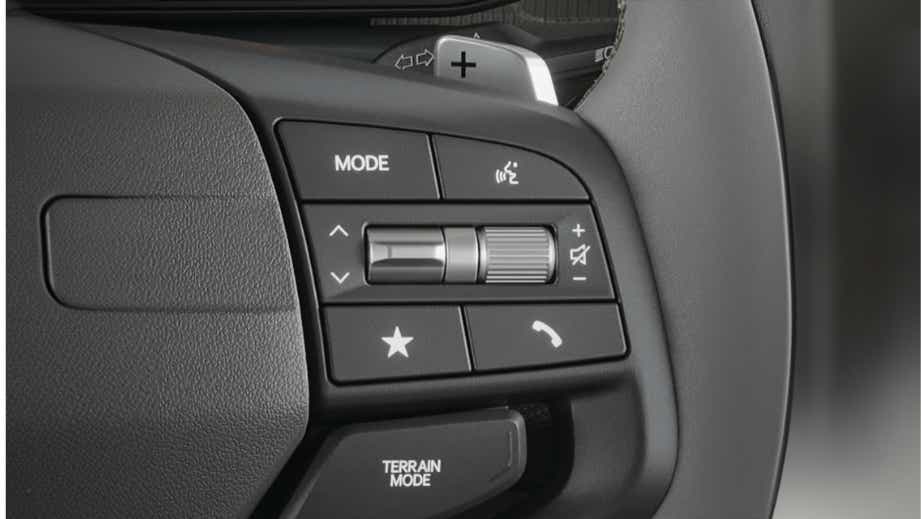 Steering wheel control close-up of a Kia Syros