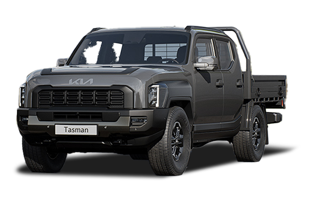 Tasman image