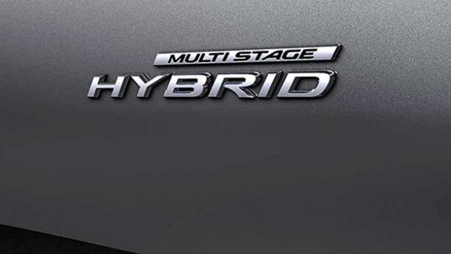 Close-up of hybrid badge on a Lexus LC 500h