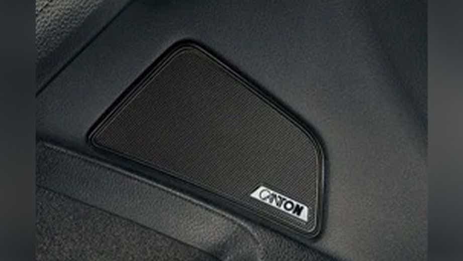 Speaker close-up of a Steel Grey Skoda Superb
