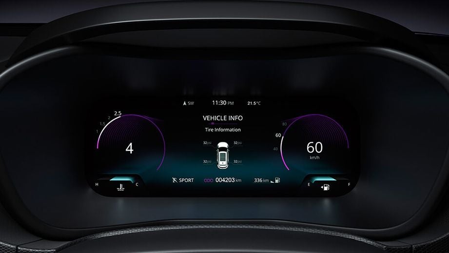 instrument cluster display of a Tata Nexon