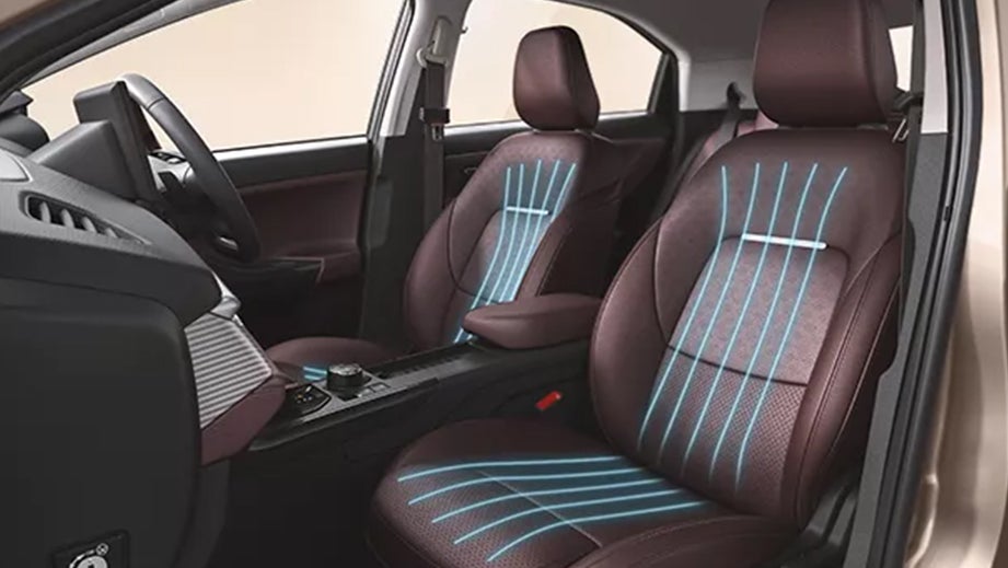 front seat and dashboard view of a Tata Curvv