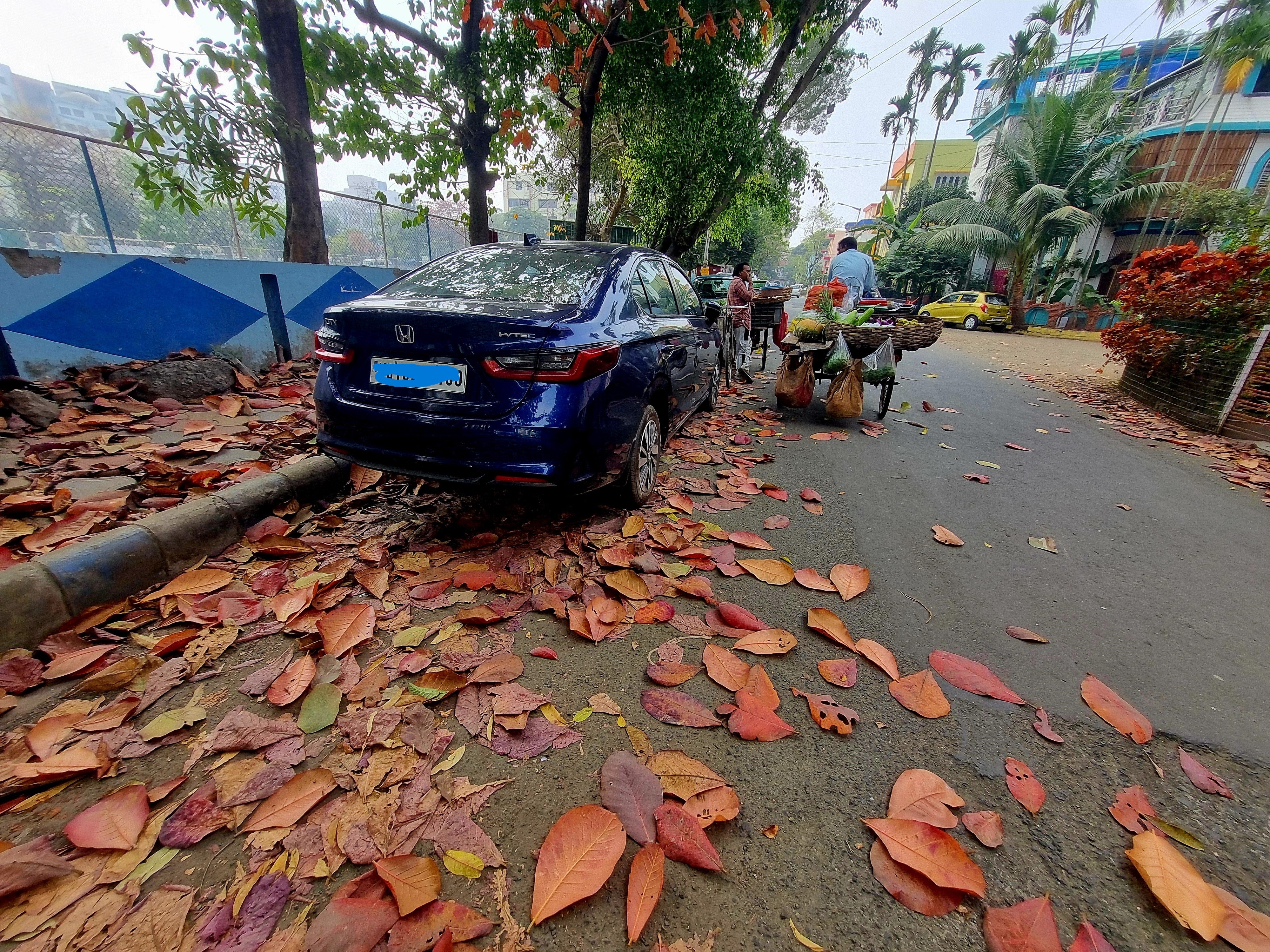 rear three-quarter view of a Honda City parked on a leaf-strewn street