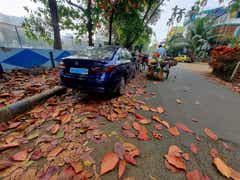 rear three-quarter view of a Honda City parked on a leaf-strewn street