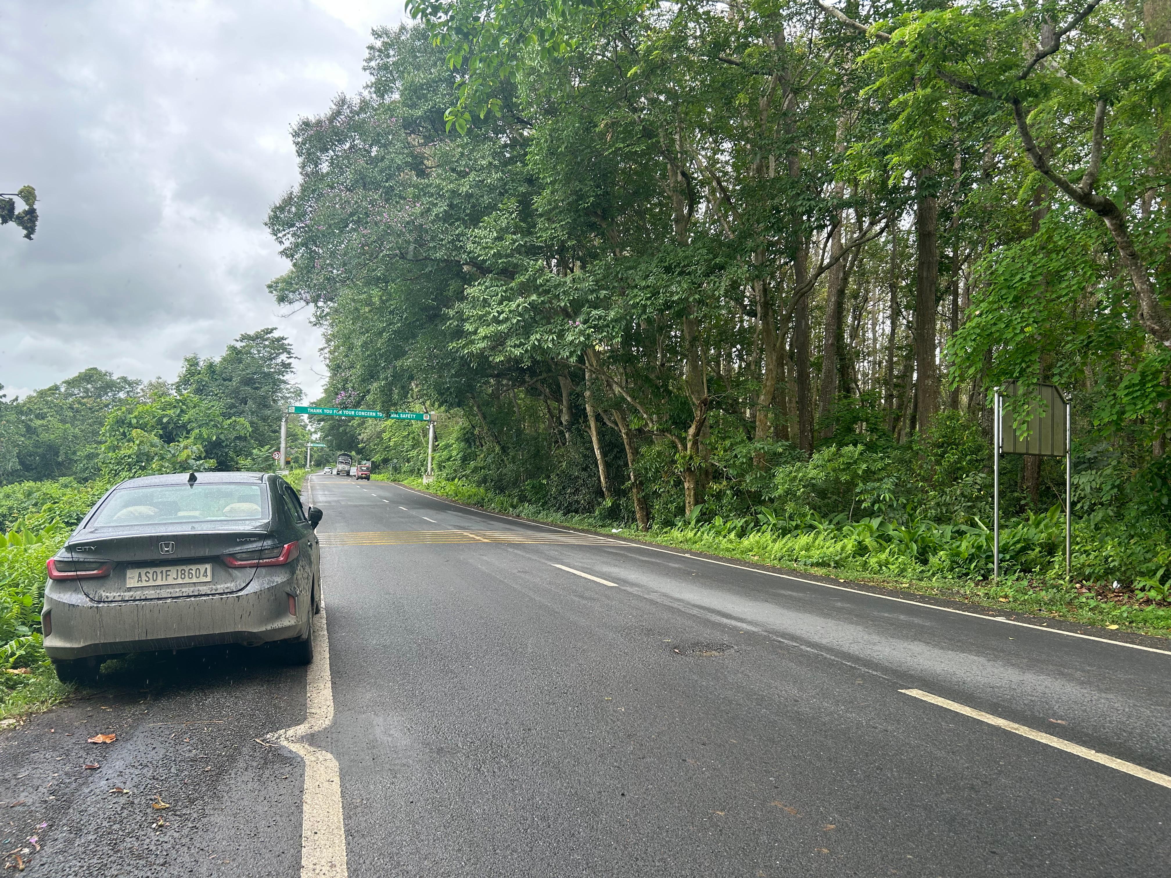 rear three-quarter of a Honda City parked on a forest road