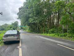 rear three-quarter of a Honda City parked on a forest road