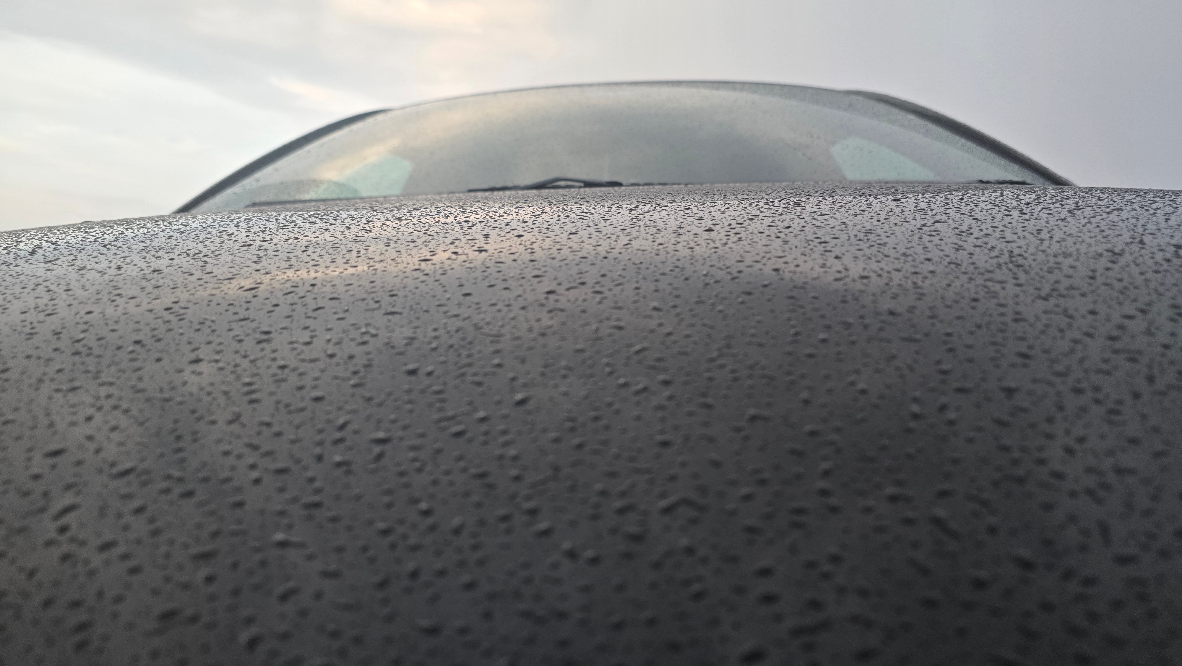 hood and windshield of a Honda City