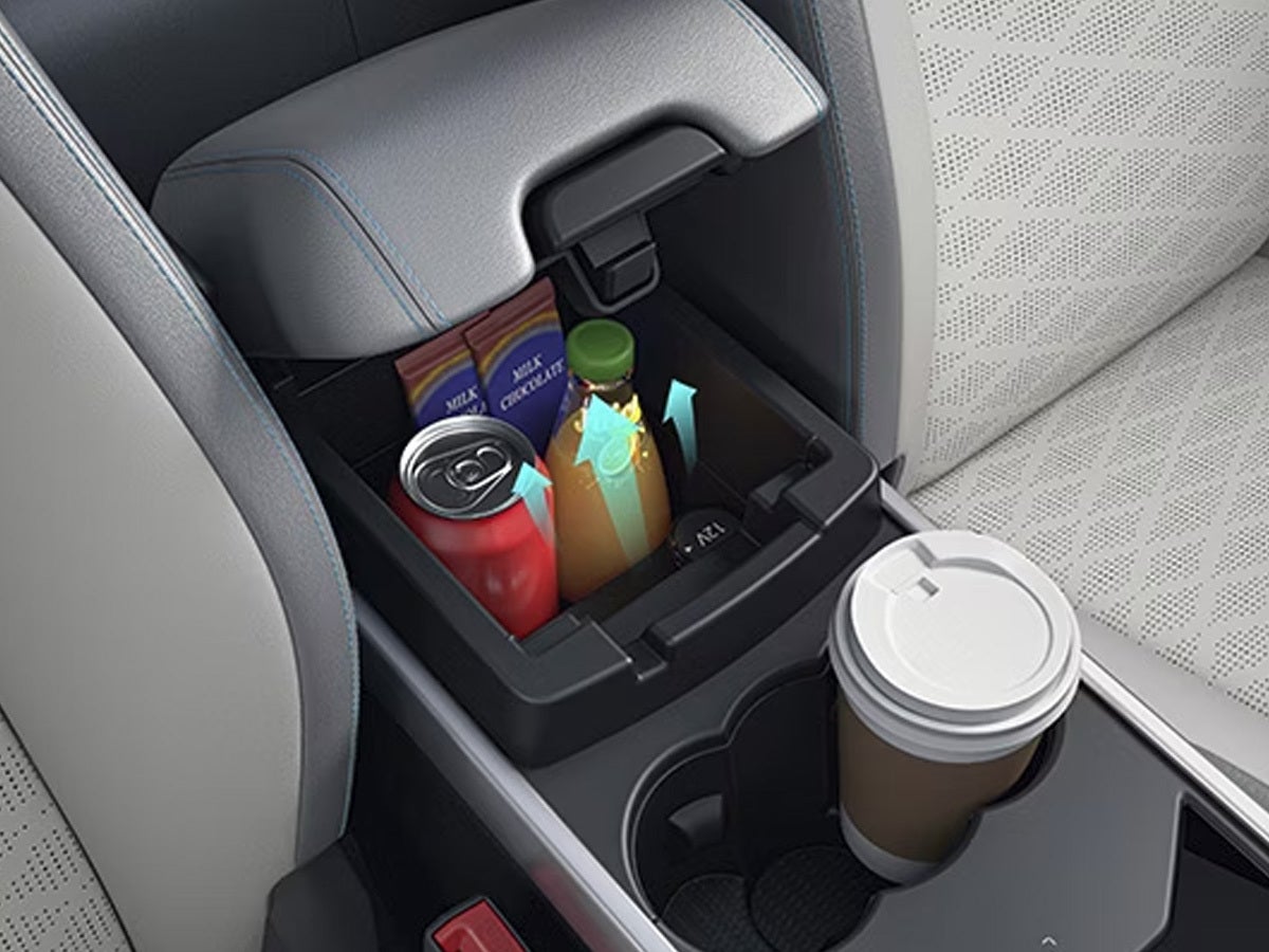 center console storage with snacks and drinks in a Tata Harrier EV