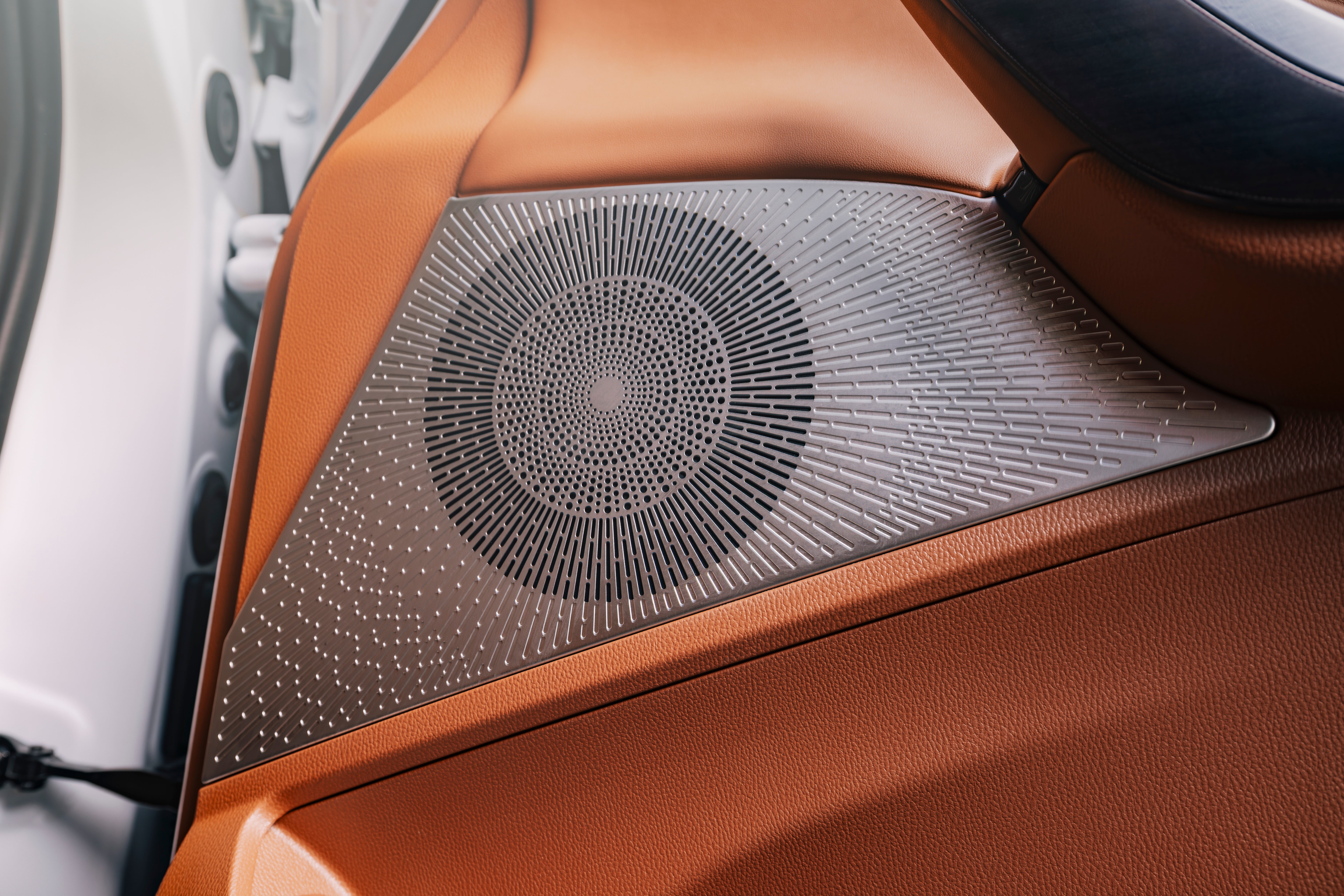 Close-up of speaker grille and interior trim of a MG M9