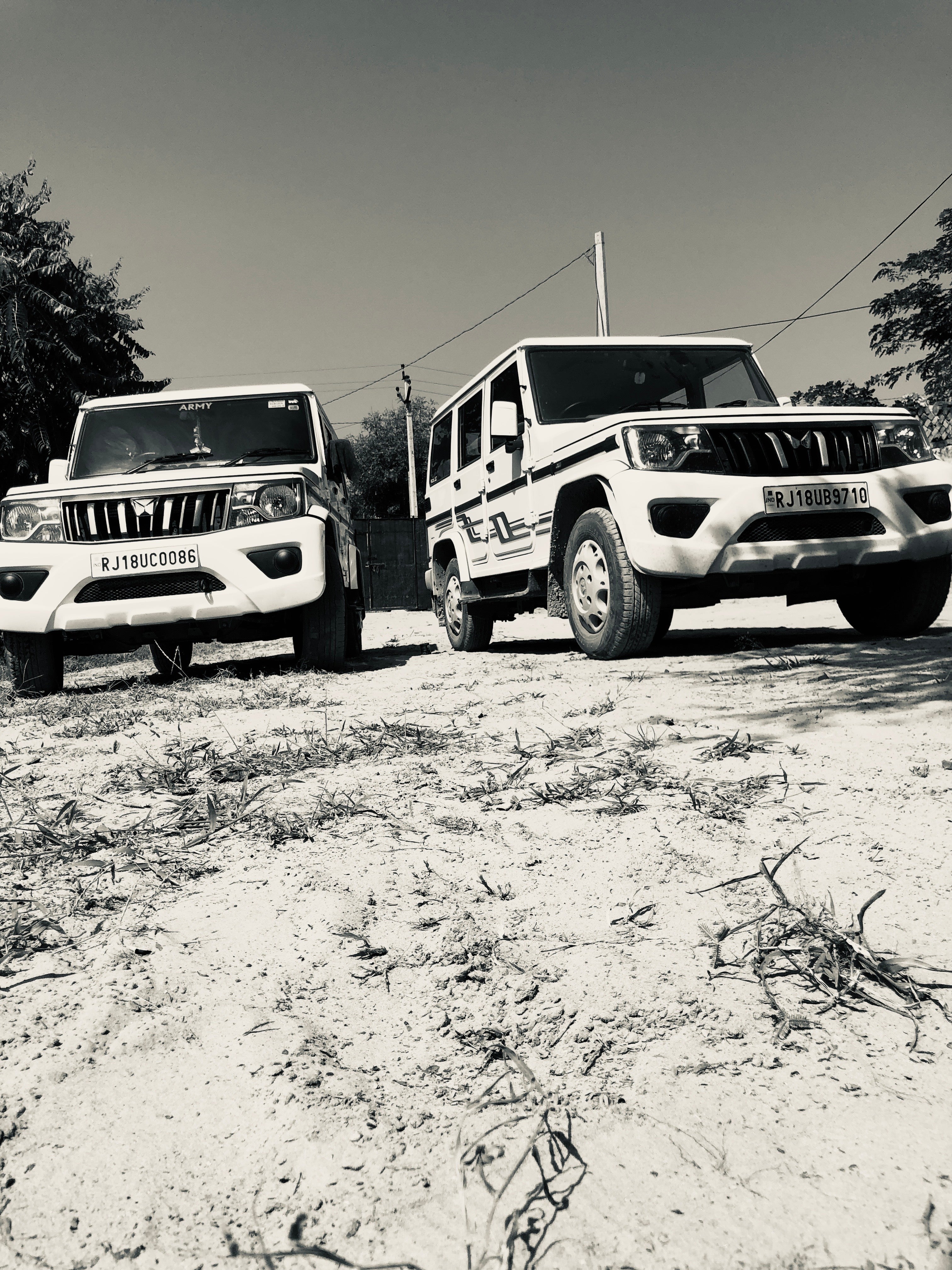 Front view of two Mahindra Bolero vehicles parked outdoors