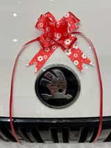 Front grille and emblem close-up of a Candy White Skoda Kylaq