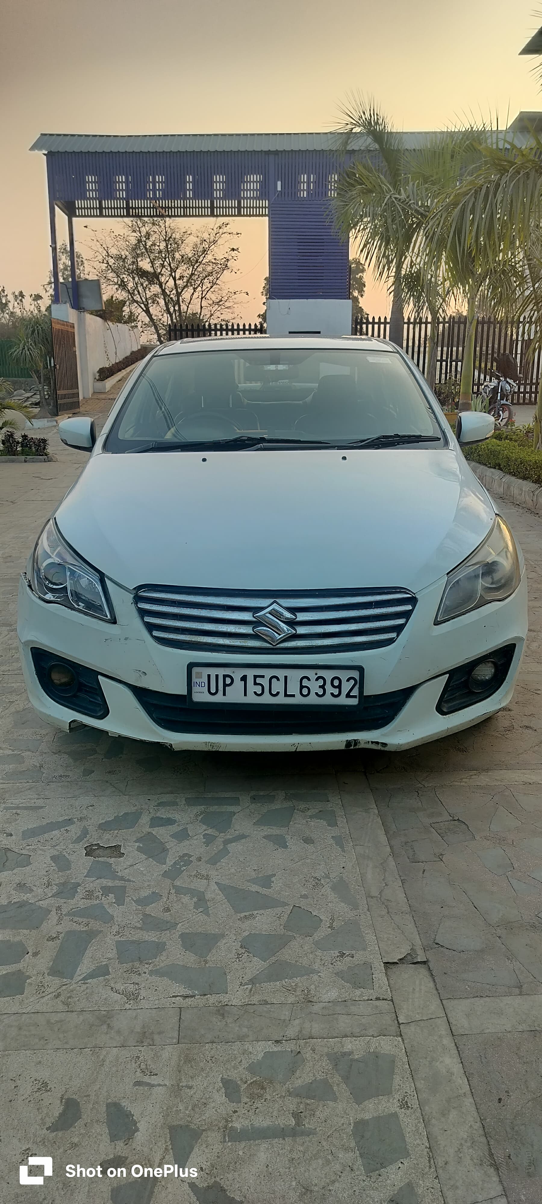 Front view of a pearl-arctic-white Maruti Suzuki Ciaz