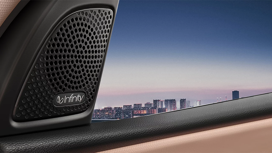 Door speaker close-up of a mg hector facelift