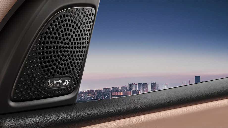 Door speaker close-up of a mg hector facelift