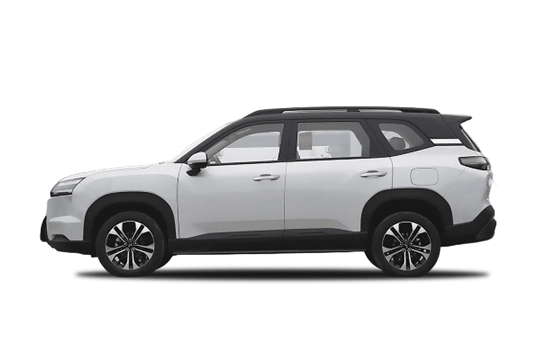 Hector Hawk Car Image