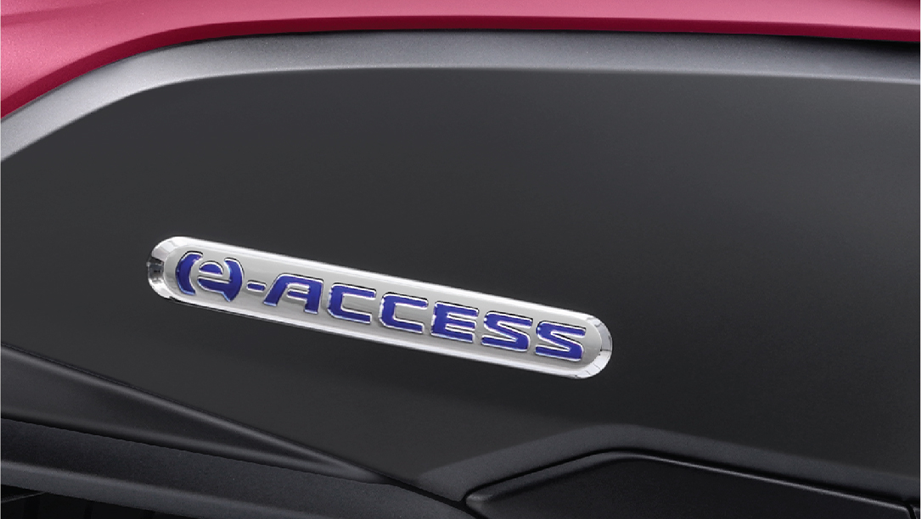 E-Access badge close-up