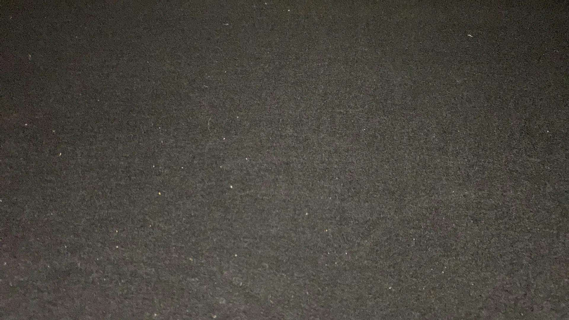 Full-car view of a Tata Nexon