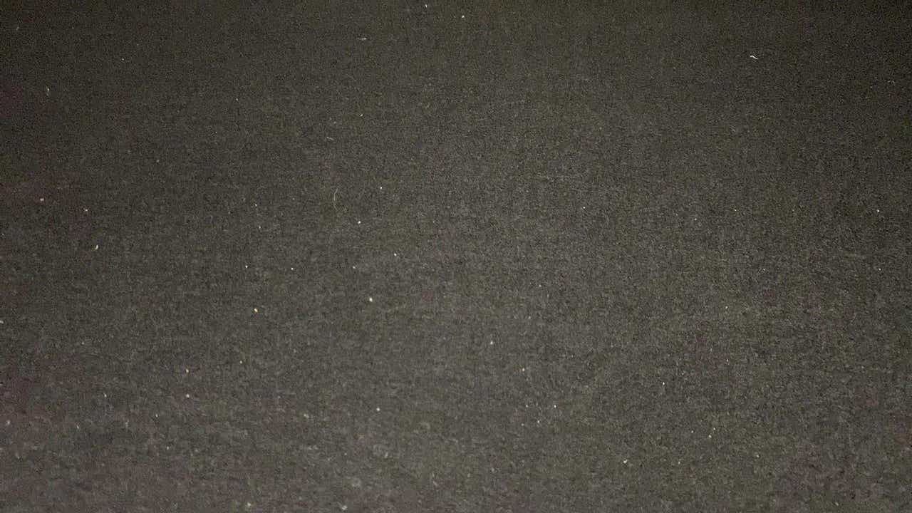 Full-car view of a Tata Nexon