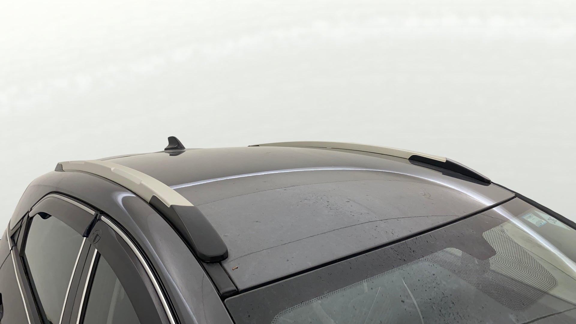 Roof rail and upper side view of a Tata Nexon