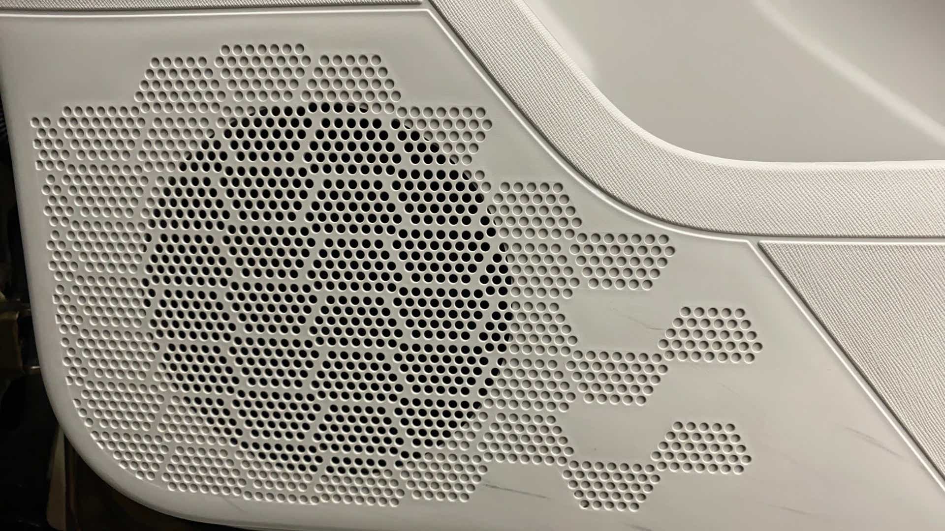 Speaker grille close-up of a Tata Nexon 2017-2023