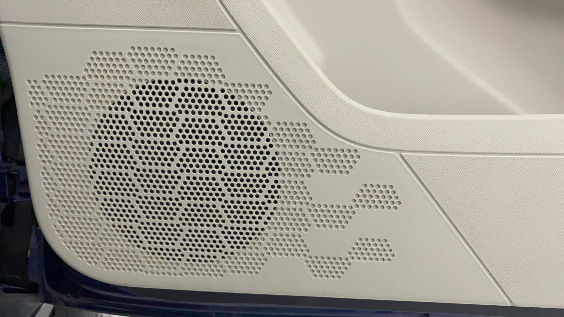 Speaker grille close-up of a Tata Nexon 2017-2023