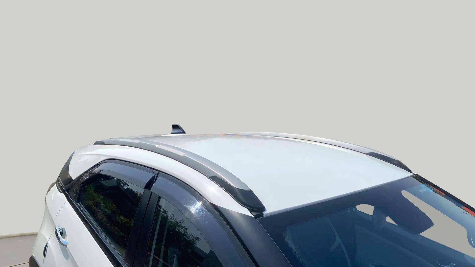 Roof rail and upper window view of a Tata Nexon