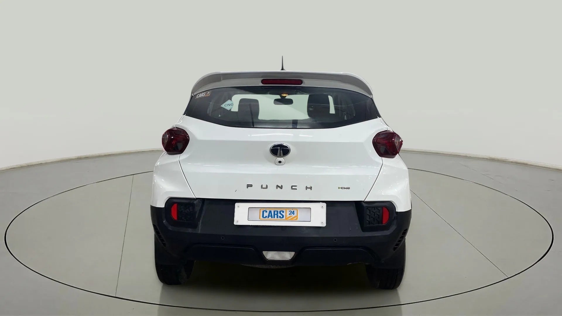 Rear view of a Orcus White Tata Punch
