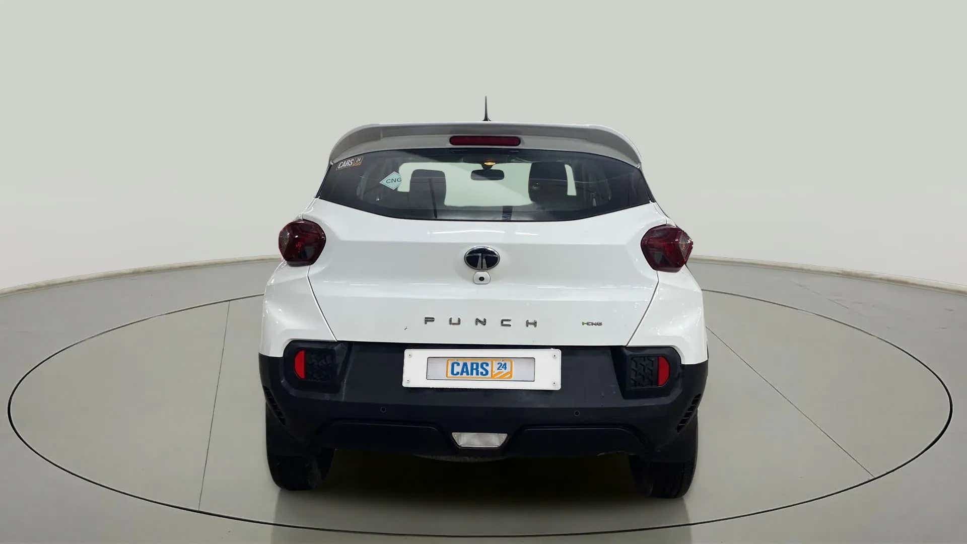 Rear view of a Orcus White Tata Punch
