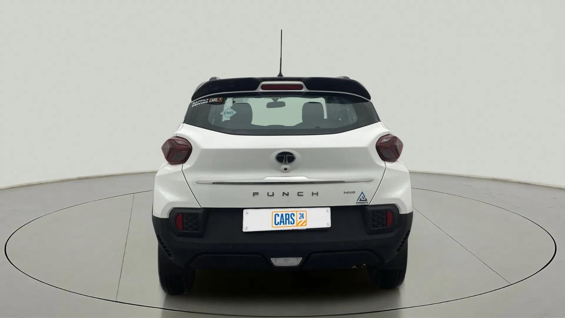 Rear view of a Orcus White Tata Punch