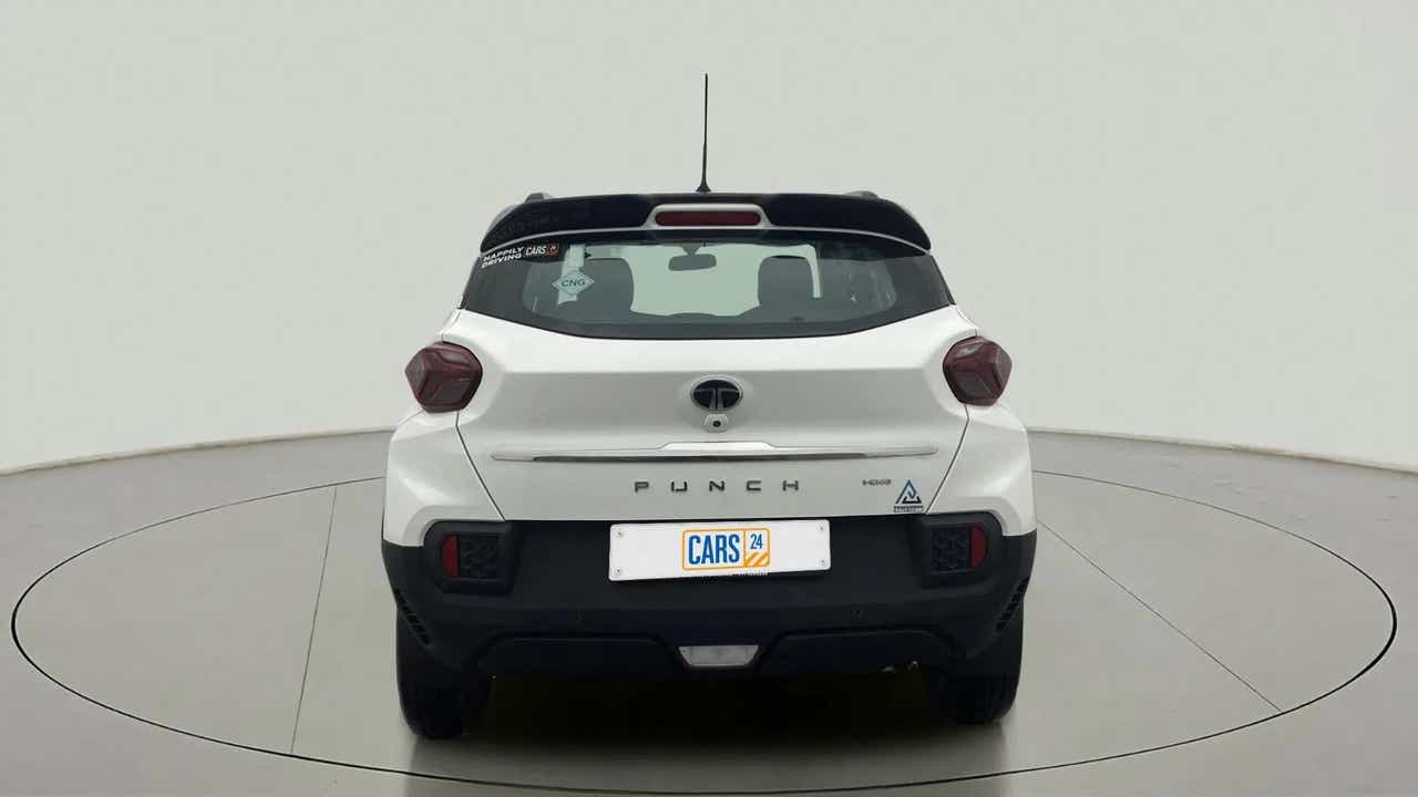 Rear view of a Orcus White Tata Punch