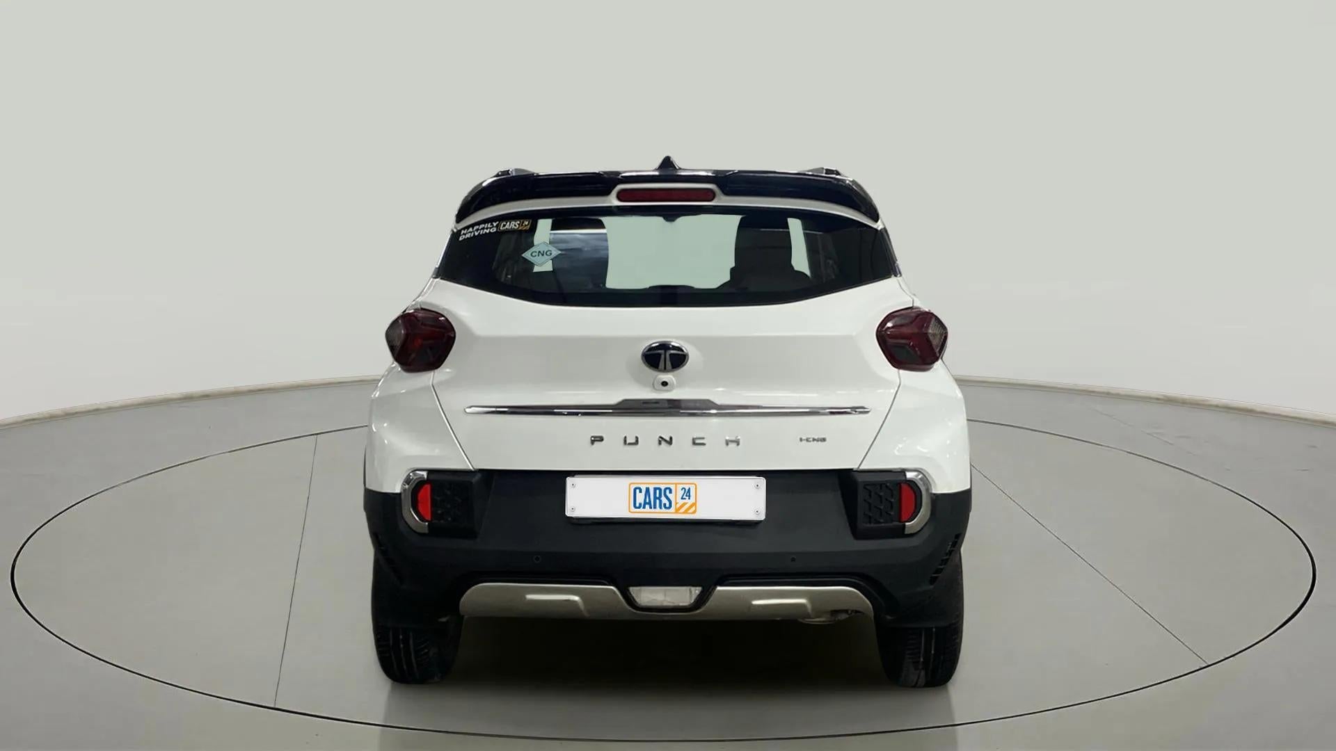 Rear view of a Orcus White Tata Punch