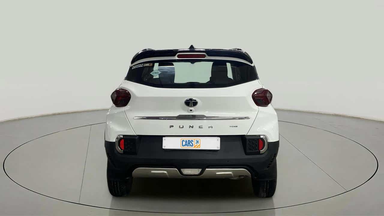 Rear view of a Orcus White Tata Punch