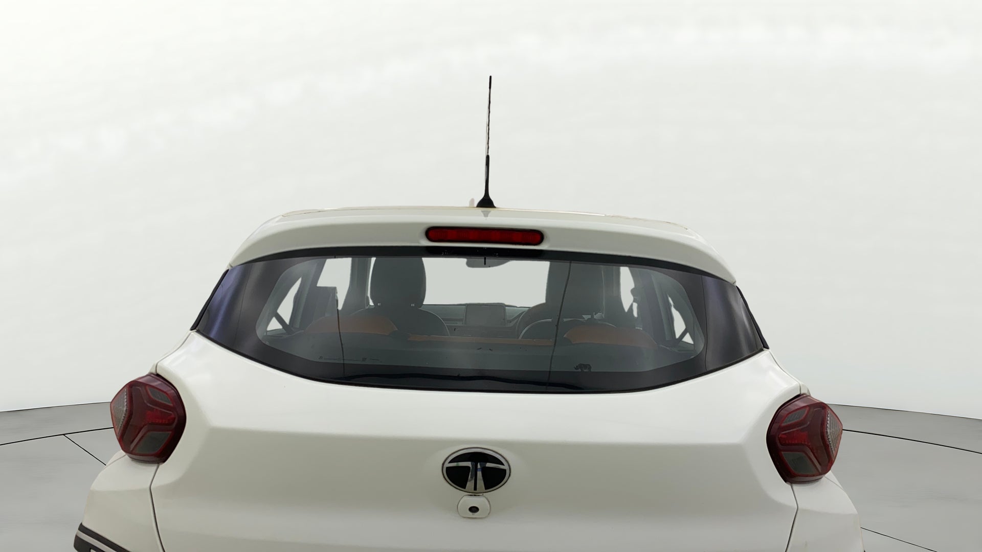 Rear view of a Orcus White Tata Punch