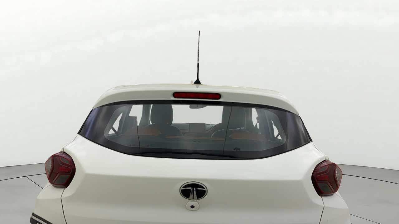 Rear view of a Orcus White Tata Punch