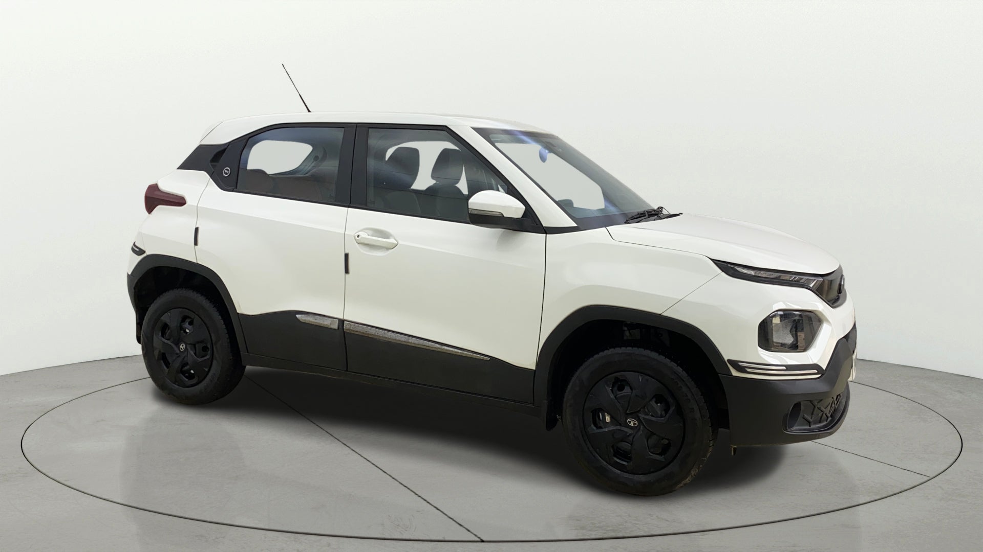 Side view of a Orcus White Tata Punch