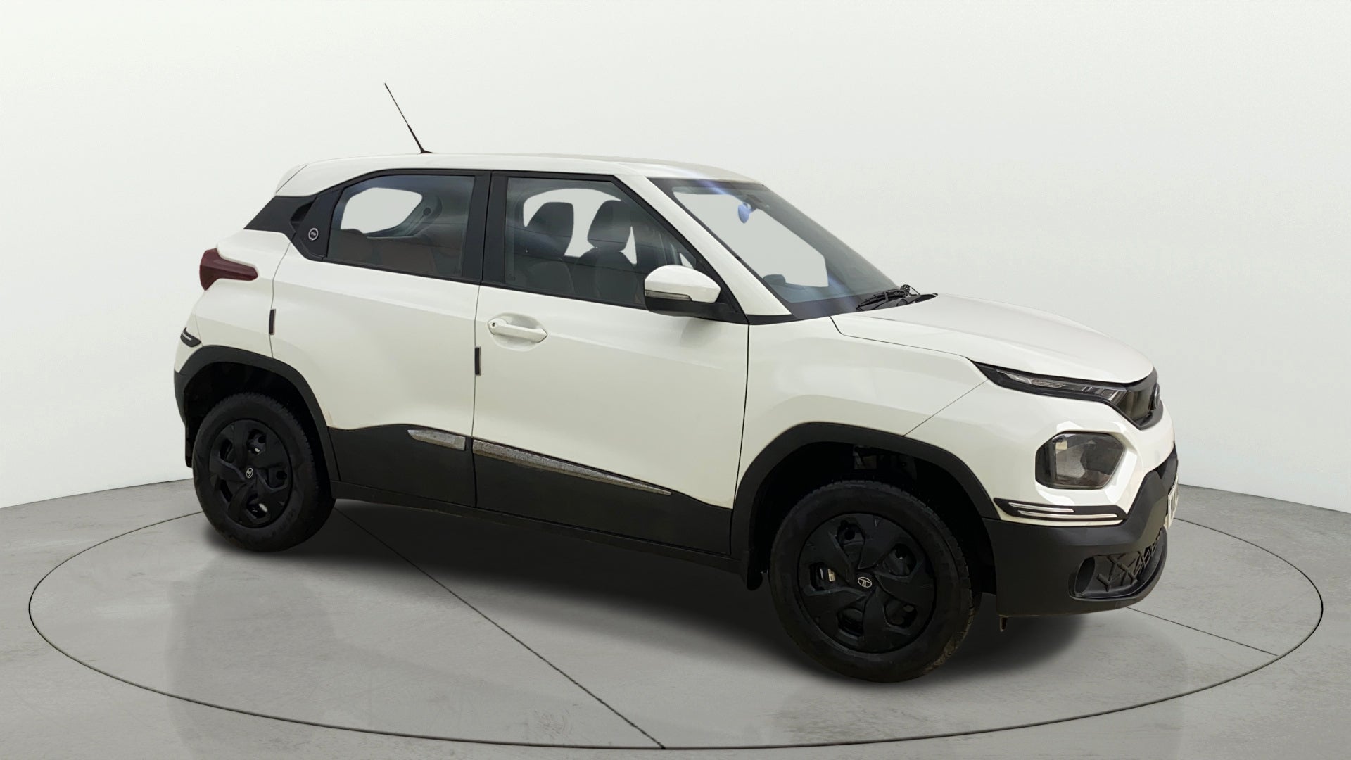 Side view of a Orcus White Tata Punch